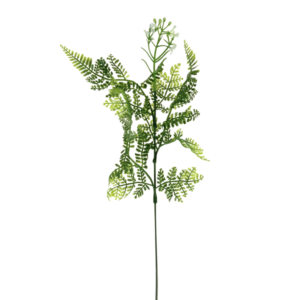 DODATOK 670-1 PAPRAĎ (balenie 12 kusov)