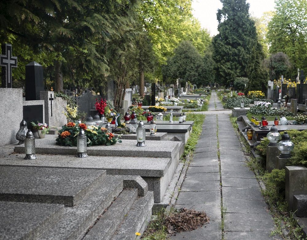 Znicze Fenix 1 Ktore Wklady Do Zniczy Sprawdza Sie Latem A Ktore Zima